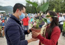 Entrega de plantas