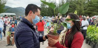 Entrega de plantas