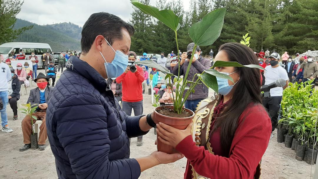 Entrega de plantas