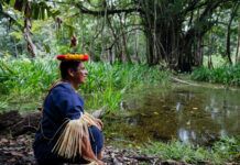 biocorredor más grande de América Latina