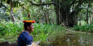 biocorredor más grande de América Latina