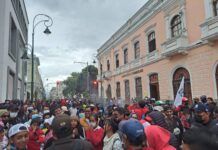 MANIFESTACIONES