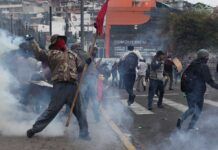 Manifestaciones