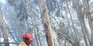 Dos incendios forestales arrasan con más de 4 hectáreas en Penipe