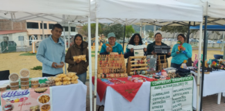 Feria “Plaza Vida”, punto de encuentro entre productores y consumidores