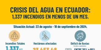 Pese a los desafíos, el Gobierno ha reafirmado su compromiso de continuar desplegando todos los recursos necesarios para controlar y extinguir los incendios restantes, en un esfuerzo coordinado entre las autoridades y los equipos especializados.