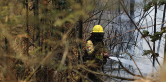 Un incendio forestal de grandes proporciones ha generado pánico en el norte de Quito este martes, afectando varias zonas desde Guápulo hasta el Parque Metropolitano Guangüiltagua, y poniendo en peligro viviendas en el centro-norte de la ciudad.