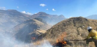 Estos tres incendios han dejado una huella ecológica preocupante en la región, afectando la biodiversidad y aumentando los riesgos para las comunidades rurales.