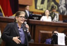 El juicio político contra Palencia no solo pone en juego su continuidad al frente del Ministerio del Interior, sino que representa un momento clave para el Gobierno de Daniel Noboa.