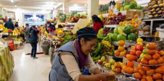 La sequía que ha envuelto a Ecuador no solo está generando una crisis energética, sino que ha desencadenado una alza preocupante en los precios de los productos agrícolas en los mercados de Riobamba y el país..