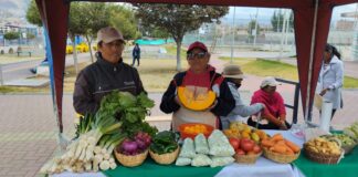 “Productores de Licán”, presentes en Feria de Emprendimientos Plaza Vida