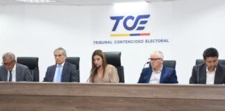 El proyecto de sentencia que después fue aprobado por el Pleno lo expuso el juez del TCE, Guillermo Ortega.  Señaló que hubo precandidatos que no presentaron la renuncia a la nominación y el movimiento los reemplazó sin contar con ese requisito.