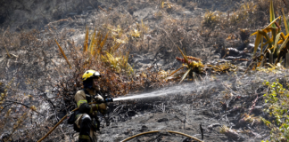 Uno de los incendios más recientes tuvo lugar en el sector Tilulum, donde 118 hectáreas de vegetación seca fueron afectadas.