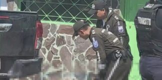 La tarde del martes 29 de octubre, un horroroso accidente en la ciudadela Pucará dejó a una familia sumida en el dolor y la desesperación. Una menor de entre 2 y 3 años fue atropellad por una camioneta doble cabina de color negro, mientras jugaba en la vereda.