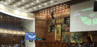 La normativa incorpora la posibilidad de concesionar a empresas privadas o de la economía popular y solidaria la construcción, operación y mantenimiento de proyectos prioritarios previstos en el Plan Maestro de Electricidad (PME).