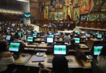 Durante el debate, varios asambleístas manifestaron su apoyo a esta medida, reconociendo que los cambios no serán inmediatos, pero que abren el camino para una transición hacia energías limpias mediante la inversión privada.