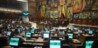 Durante el debate, varios asambleístas manifestaron su apoyo a esta medida, reconociendo que los cambios no serán inmediatos, pero que abren el camino para una transición hacia energías limpias mediante la inversión privada.