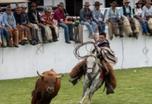 La feria se inaugura este viernes 22 de noviembre, a partir de las 15H00, y se extenderá hasta las 22H00. Durante este tiempo, alrededor de 250 expositores locales y nacionales ofrecerán artesanías, productos gastronómicos y otros artículos. Además, desde las 18:30 horas, se presentarán espectáculos artísticos con bandas locales, artistas invitados y un espectáculo de juegos de luces. 