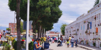 Cientos de familias acudieron al Cementerio Municipal de Riobamba para recordar a sus seres queridos en el feriado de Finados, una tradición profundamente arraigada que marca la visita a las tumbas con flores, oraciones y cuidados especiales.