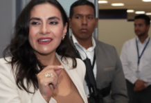 El Tribunal Penal especializado en delitos de corrupción y crimen organizado de la Corte Provincial de Pichincha solicitó este viernes, 22 de noviembre de 2024, a la Corte Constitucional que se pronuncie sobre la suspensión de la vicepresidenta de la República, Verónica Abad, dispuesta por el Ministerio de Trabajo el pasado 8 de noviembre.