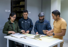 Ecuador, como un país megadiverso, alberga una rica variedad de especies forestales que son fundamentales para el equilibrio de sus ecosistemas.