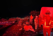 La curva de ingreso a Catamayo, en la vía Loja-Catamayo, se convirtió en el escenario de una de las tragedias viales más impactantes de los últimos años, un choque entre un bus interprovincial de la cooperativa TAC y un automóvil particular color rojo, dejó un saldo de 16 personas fallecidas y ocho heridos,