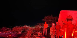 La curva de ingreso a Catamayo, en la vía Loja-Catamayo, se convirtió en el escenario de una de las tragedias viales más impactantes de los últimos años, un choque entre un bus interprovincial de la cooperativa TAC y un automóvil particular color rojo, dejó un saldo de 16 personas fallecidas y ocho heridos,