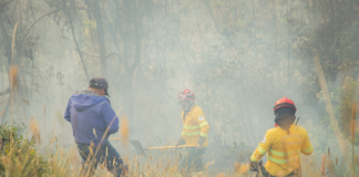 Durante la primera semana de diciembre, el Cuerpo de Bomberos de Riobamba (CBR) atendió un total de 20 emergencias, de las cuales el 30% corresponde a incendios forestales.