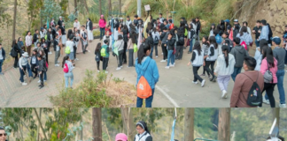 El Gobierno Provincial de Tungurahua, a través de su Vivero Provincial y la Dirección de Recursos Hídricos y Conservación Ambiental, refuerza su compromiso con la sostenibilidad ambiental mediante un programa de forestación y reforestación diseñado para atender las necesidades específicas de los distintos territorios de la provincia. 