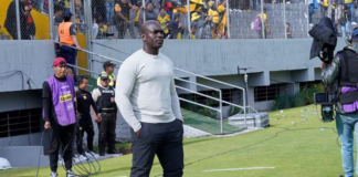 Segundo Alejandro Castillo será el técnico de Barcelona SC en 2025, año en el que los canarios cumplirán 100 años de vida institucional. Castillo podrá continuar con su trabajo en la pretemporada.