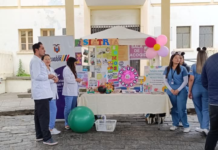 Con el lema “Ampliar el liderazgo de las personas con discapacidad para un futuro inclusivo y sostenible”, se desarrolló en Riobamba la Feria de la Salud organizada por Coordinación Zona 3.