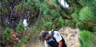 Recuperación de arma de fuego.