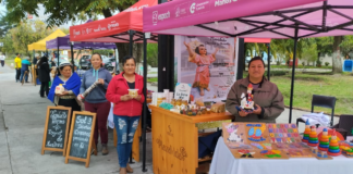 Todos los martes y jueves a partir de las 09H00, emprendedores del Proyecto “Plaza Vida”, se ubican en la entrada de la Escuela Superior Politécnica de Chimborazo (ESPOCH), con la finalidad de exhibir y comercializar sus productos y servicios que ofrecen