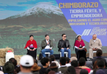 Productores agrícolas de la Sierra Centro recibieron maquinaria, insumos, títulos de propiedad de tierras y certificados este 22 de enero, en un evento que contó con la participación del presidente de la República, Daniel Noboa, y el ministro de Agricultura y Ganadería, Danilo Palacios.
