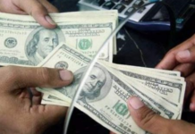 Las remesas enviadas a Ecuador alcanzaron un total de USD 1.748,5 millones en el tercer trimestre de 2024, un incremento del 17% en comparación con el mismo periodo del año anterior, según datos del Banco Central del Ecuador (BCE).