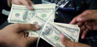 Las remesas enviadas a Ecuador alcanzaron un total de USD 1.748,5 millones en el tercer trimestre de 2024, un incremento del 17% en comparación con el mismo periodo del año anterior, según datos del Banco Central del Ecuador (BCE).