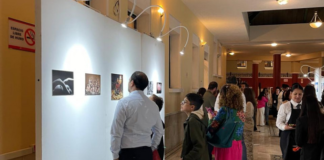 El Centro Cultural Universitario de la Universidad Técnica de Ambato (UTA) será sede de una exposición que invita a reflexionar sobre uno de los problemas más críticos del país: la desnutrición infantil.