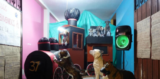 El 31 de diciembre, Alausí celebró con gran entusiasmo el tradicional Concurso de Años Viejos, un evento que combinó creatividad, arte y la preservación de las costumbres locales.