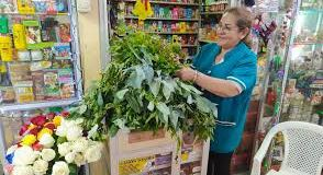 En el tercer piso del Mercado Modelo, habitan 34 caseras que llevan en la sangre la conexión con la tierra, las plantas y las creencias ancestrales.