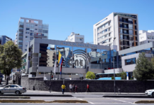 Los votantes interesados en conocer más sobre los 4.455 candidatos calificados pueden acceder al sitio https://votoinformado.cne.gob.ec/procesoActual. Allí, encontrarán información detallada sobre los binomios presidenciales, asambleístas nacionales, provinciales y del exterior, así como los parlamentarios andinos.