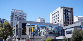Los votantes interesados en conocer más sobre los 4.455 candidatos calificados pueden acceder al sitio https://votoinformado.cne.gob.ec/procesoActual. Allí, encontrarán información detallada sobre los binomios presidenciales, asambleístas nacionales, provinciales y del exterior, así como los parlamentarios andinos.