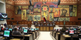 En una sesión clave para la política de seguridad del país, la Asamblea Nacional de Ecuador aprobó por amplia mayoría una resolución que respalda la cooperación internacional en la lucha contra la delincuencia organizada.