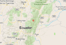 Un fuerte sismo de magnitud 5.5 sacudió varias provincias del Ecuador la tarde del viernes 31 de enero, causando alarma en la población.
