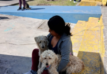 El Municipio de Riobamba, a través del Centro de Rescate Integral de Animales en Riesgo (CRIAR), ha puesto en marcha la campaña "Yo Sí Adopto", una iniciativa enfocada en ofrecer una nueva oportunidad a perros y gatos rescatados en condiciones de vulnerabilidad.
