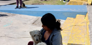 El Municipio de Riobamba, a través del Centro de Rescate Integral de Animales en Riesgo (CRIAR), ha puesto en marcha la campaña "Yo Sí Adopto", una iniciativa enfocada en ofrecer una nueva oportunidad a perros y gatos rescatados en condiciones de vulnerabilidad.