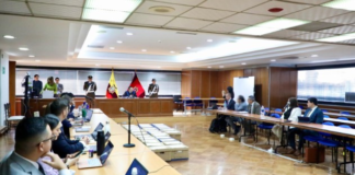 SENTENCIA. En un giro significativo dentro del denominado “Caso Pantalla”, la justicia ecuatoriana dictó sentencia contra el exdirector general del Consejo de la Judicatura (CJ), David Guzmán tras aceptar su culpabilidad en el delito de asociación ilícita. La resolución, emitida el 25 de febrero en audiencia de procedimiento abreviado, le impone una pena privativa de libertad de seis meses, reducción que fue concedida en virtud de su cooperación con la Fiscalía.