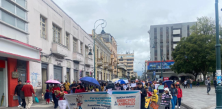 El sábado 22 de febrero de 2025, la ciudad de Riobamba fue escenario de una marcha en favor de los derechos de los animales. La movilización, organizada por el colectivo nacional LOA