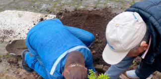 La Administración Municipal, bajo el liderazgo del alcalde Frantz Joseph, continúa impulsando acciones en favor del medioambiente.