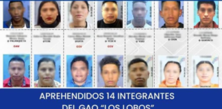 La madrugada del 20 de marzo, un mega operativo de la Policía Nacional y la Fiscalía en cuatro provincias del país desmanteló una presunta red de delincuencia organizada vinculada a los atentados de enero de 2024.