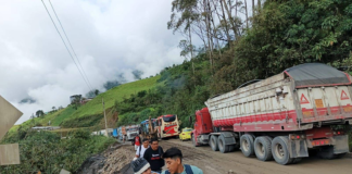 El 14 de marzo de 2025, el Ministerio de Transporte y Obras Públicas (MTOP) del Gobierno del Nuevo Ecuador, presidido por Daniel Noboa, lanzó oficialmente la Licitación Pública Internacional para el mantenimiento por resultado de la vía E487, que conecta Balbanera, Pallatanga y Cumandá, con una longitud de 106,69 kilómetros.
